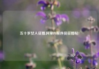 五十岁女人征婚,阿里P8程序员征婚帖?