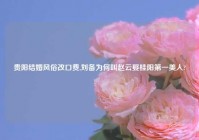 贵阳结婚风俗改口费,刘备为何叫赵云娶桂阳第一美人?