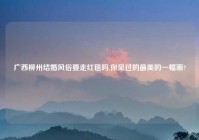 广西柳州结婚风俗要走红毯吗,你见过的最美的一幅画?
