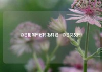 百合相亲网官网,怎样退岀百合交友网?