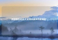 跨国婚恋网站,大家用得最多的是哪款?