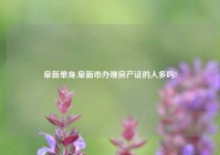 阜新单身,阜新市办理房产证的人多吗?