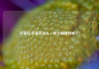 石家庄,石家庄怎么一夜之间就封城了?