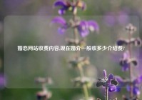 婚恋网站收费内容,现在婚介一般收多少介绍费?