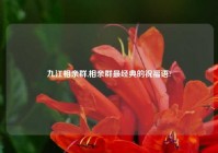九江相亲群,相亲群最经典的祝福语?