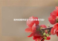 扬州结婚风俗女方,武汉新香习俗?