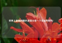 世界上最美的婚纱,愿意分享一下幸福时刻吗?