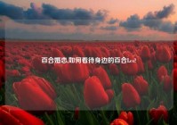 百合婚恋,如何看待身边的百合Les?