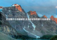 北京婚介公司那家好,北京比较好的婚介所是哪家?
