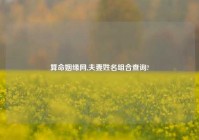 算命姻缘网,夫妻姓名组合查询?