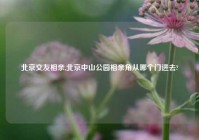 北京交友相亲,北京中山公园相亲角从哪个门进去?