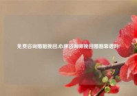 免费咨询婚姻挽回,心理咨询师挽回婚姻靠谱吗?