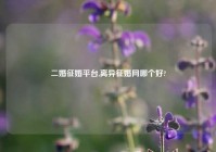 二婚征婚平台,离异征婚网哪个好?