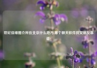 世纪佳缘婚介所在北京什么地方,哪个聊天软件找女朋友靠谱?