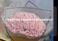 中国单身女性网,头条里那些大龄剩女征婚是真的吗?