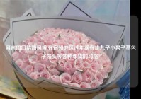 河南周囗结婚风俗,在宿州地区过年前有炸丸子小果子蒸包子馒头等各种年货的习俗?