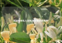 同城相亲私人定制,南宁相亲网官网?