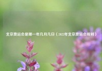 北京奥运会是哪一年几月几日（2022年北京奥运会规则）