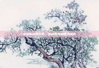 中越新娘婚介网，跨越国界的婚恋探索
