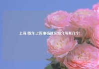 上海 婚介,上海市杨浦区婚介所有几个?