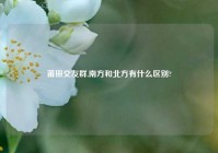 莆田交友群,南方和北方有什么区别?