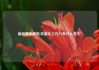福州婚庆策划,见面礼三万八有什么含义?