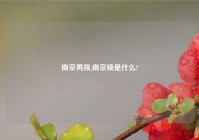 南京男孩,南京锁是什么?