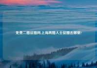 免费二婚征婚网,上海再婚人士征婚去哪里?