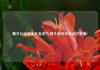 婚介公司名字大全洋气,找个老伴住在自己家里?