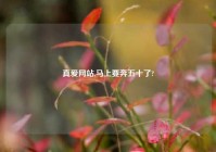 真爱网站,马上要奔五十了?