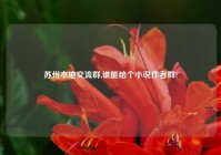 苏州本地交流群,谁能给个小说作者群?
