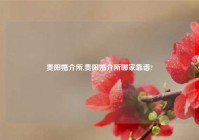 贵阳婚介所,贵阳婚介所哪家靠谱?