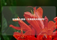 深圳婚介,唯爱一生情感机构靠谱吗?