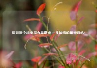 深圳哪个相亲平台靠谱点,一见钟情的相亲网站?
