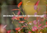 摩托车网站那个最好,真正的进口摩托车在那里能买到?