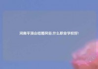河南平顶山结婚风俗,什么职业学校好?