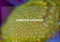 免费聊天的软件,和家亲介绍?