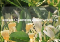 淄博张店找工作近期招聘启事,淄博青年驿站大专生可以申请吗?