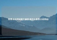 免费小说网站那个最好,有什么免费小说网站?