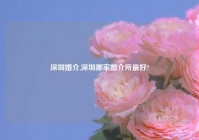 深圳婚介,深圳哪家婚介所最好?