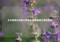 北京真情在线婚介所地址,鲅鱼圈婚介哪家靠谱?
