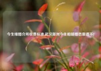 今生缘婚介所收费标准,武汉新洲今生相随婚恋靠谱不?