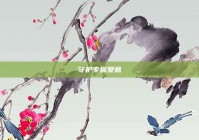 守护专属爱意
