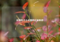 征婚网,什么征婚网比较靠谱?