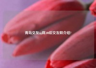 青岛交友qq群,00后交友群介绍?