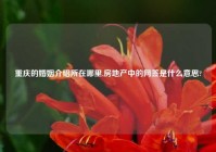 重庆的婚姻介绍所在哪里,房地产中的网签是什么意思?