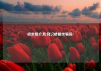 相亲婚介,如何识破相亲骗局?