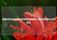 淄博征婚,如何评价由黄薇刘劲唐国强主演的电视剧永远的战友?