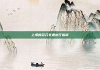 上海的多元交通出行指南