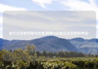 各大交友软件账号出售,阿里20亿美元全资收购考拉?